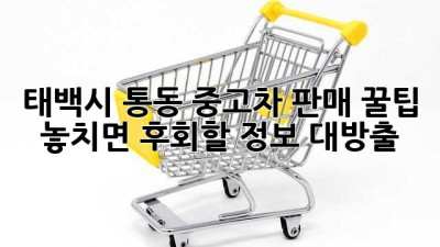 태백시 통동 중고차 판매 꿀팁🍯: 놓치면 후회할 정보 대방출!