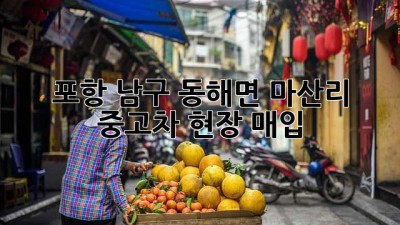 포항 남구 동해면 마산리 중고차 현장 매입