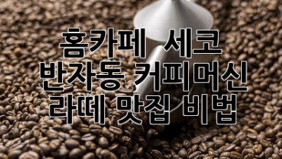 홈카페 ☕ 세코 반자동 커피머신, 라떼 맛집 비법!