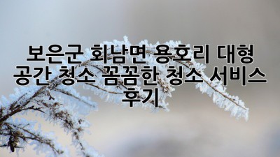 보은군 회남면 용호리 대형 공간 청소: 꼼꼼한 청소 서비스 후기