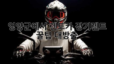 영양군에서 렌트카 장기렌트, 꿀팁 대방출!